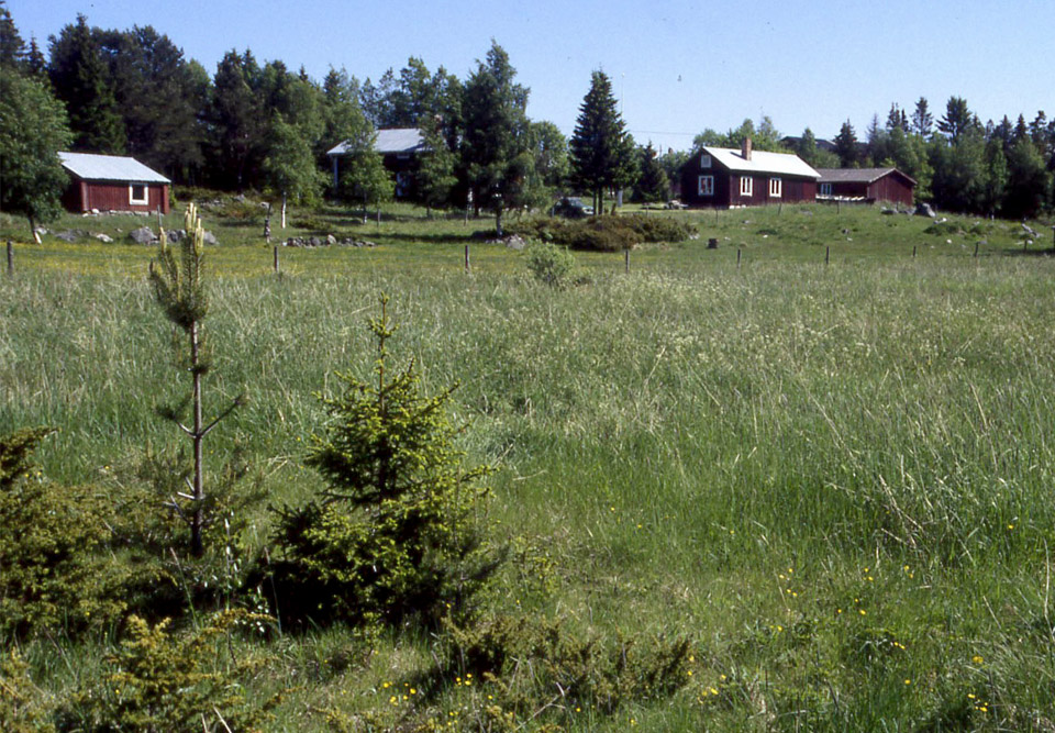 Holmön före 2005
