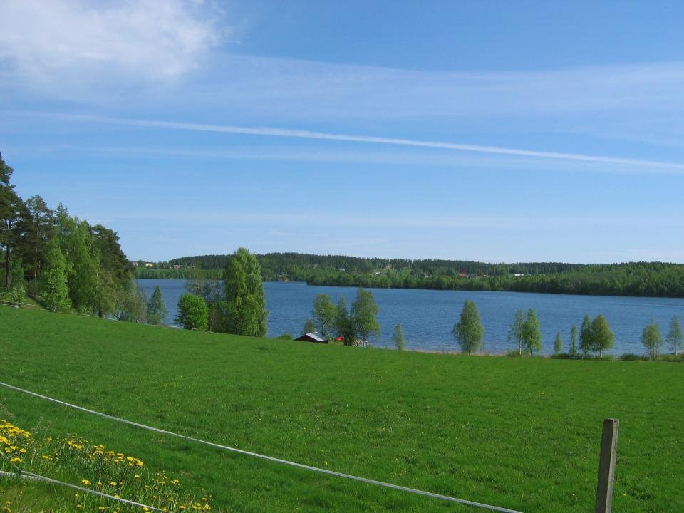 Utsikt över Tavelsjön