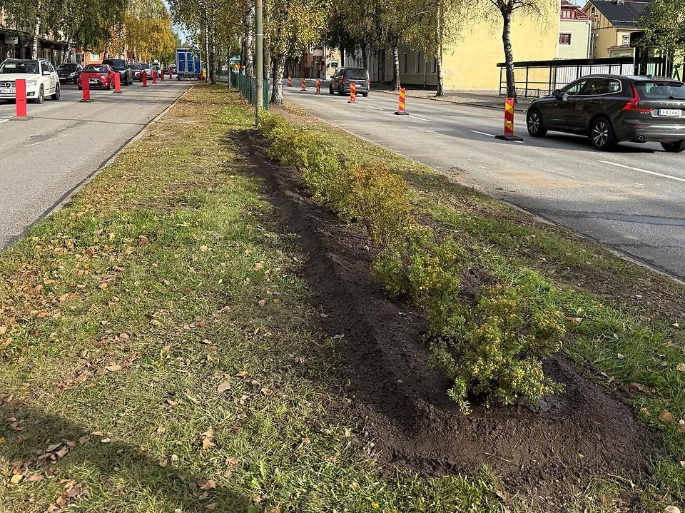 Västra Esplanaden