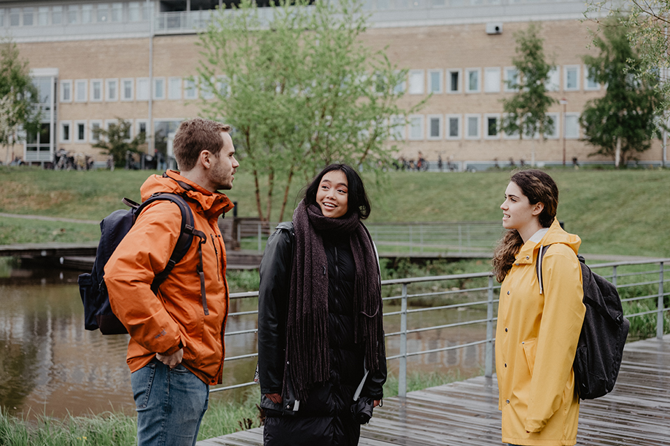 Students talking outside on Campus Umeå