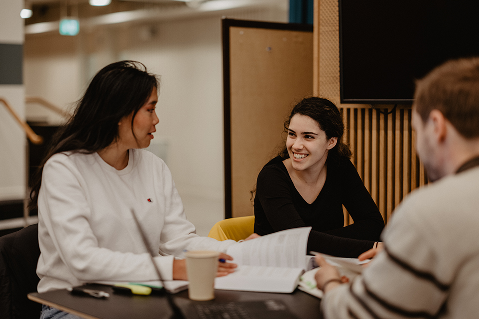 Students studying together and having fun at Umeå university