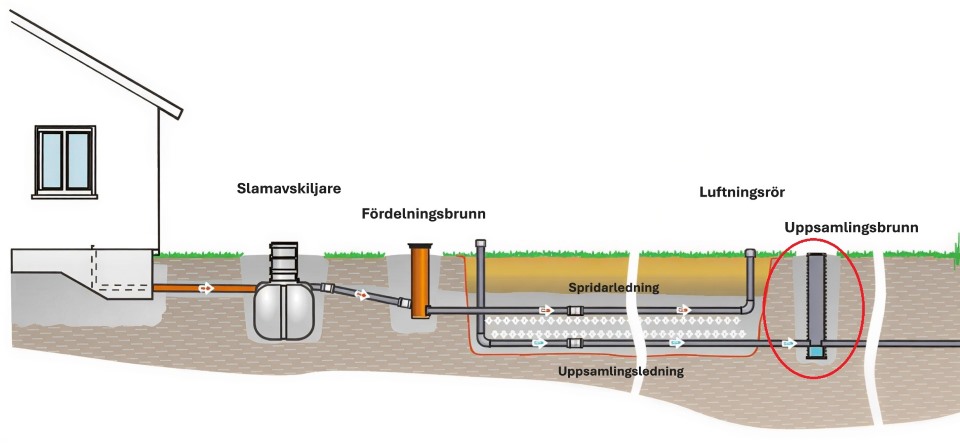 Illustration som visar vad som är en uppsamlingsbrunn i en markbäddsanläggning.