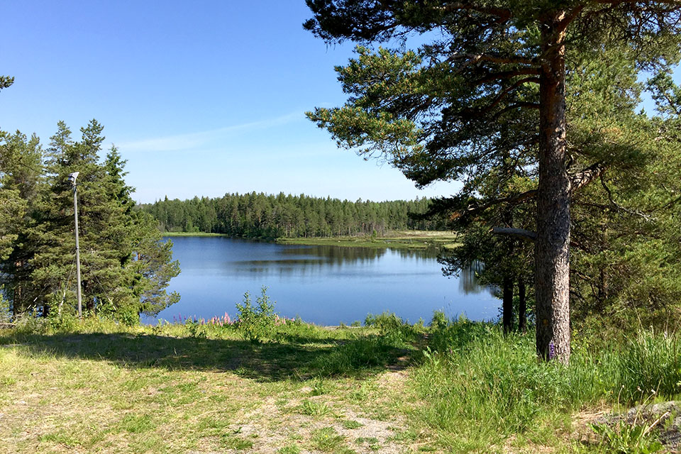 Harpsjön med omkringliggande skog.