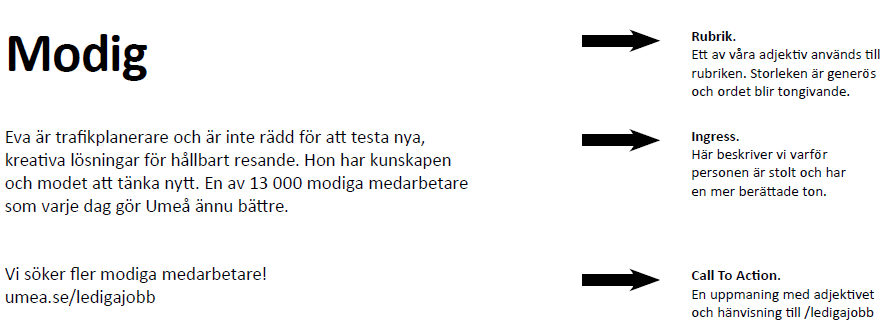 Exempel på text: Modig, Eva är trafikplanerar som har mod att tänka nytt