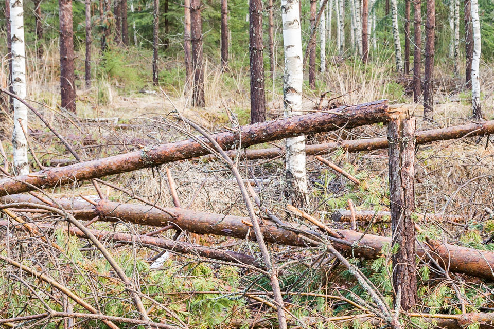 Ange alt-text; vad bilder föreställer.