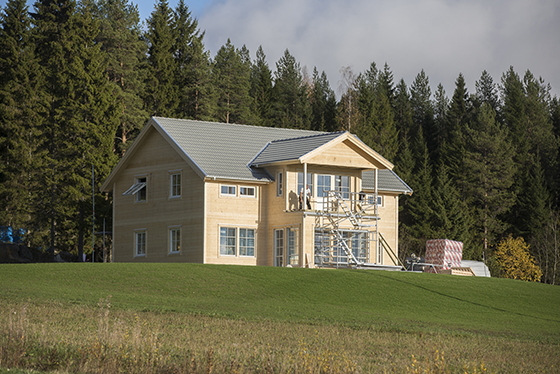 hus på landet, bygga, byggställning