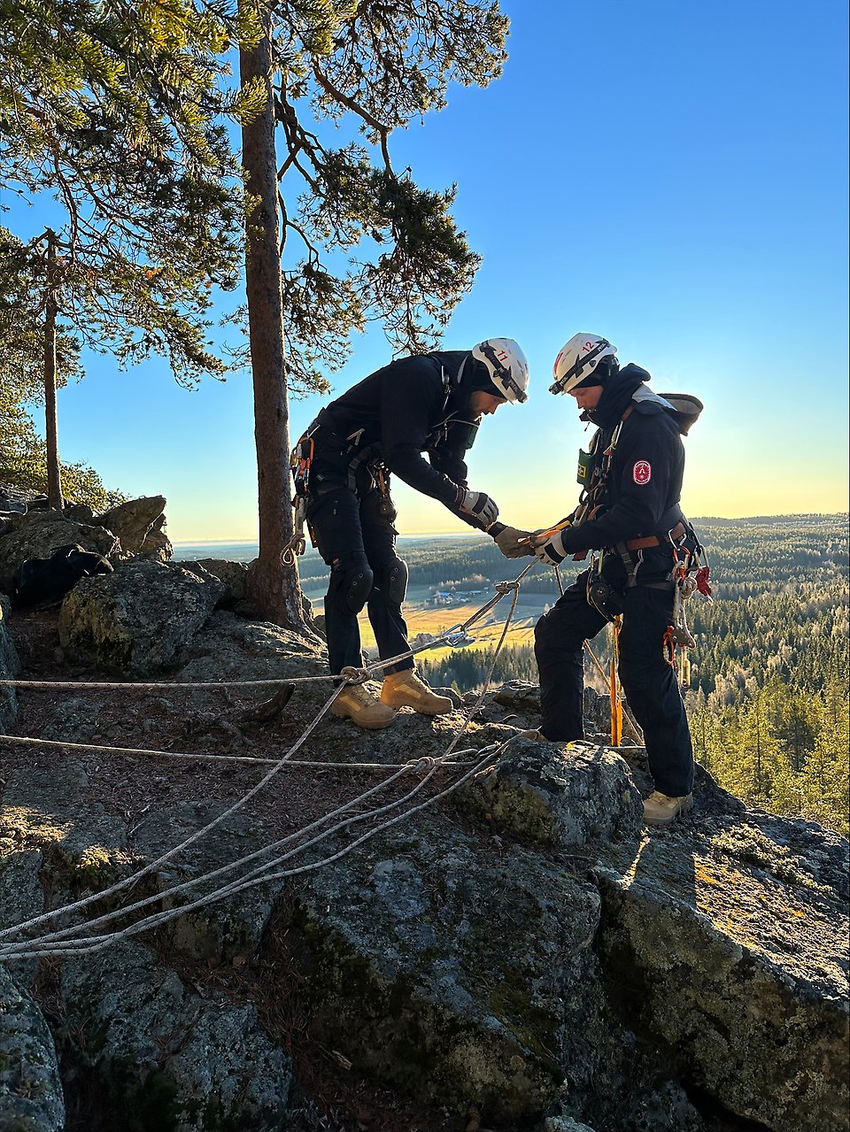 En grupp personer sitter på en gräsmatta.