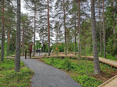 Vindlande träspång genom skogen vid lekplatsen i Ersmark.