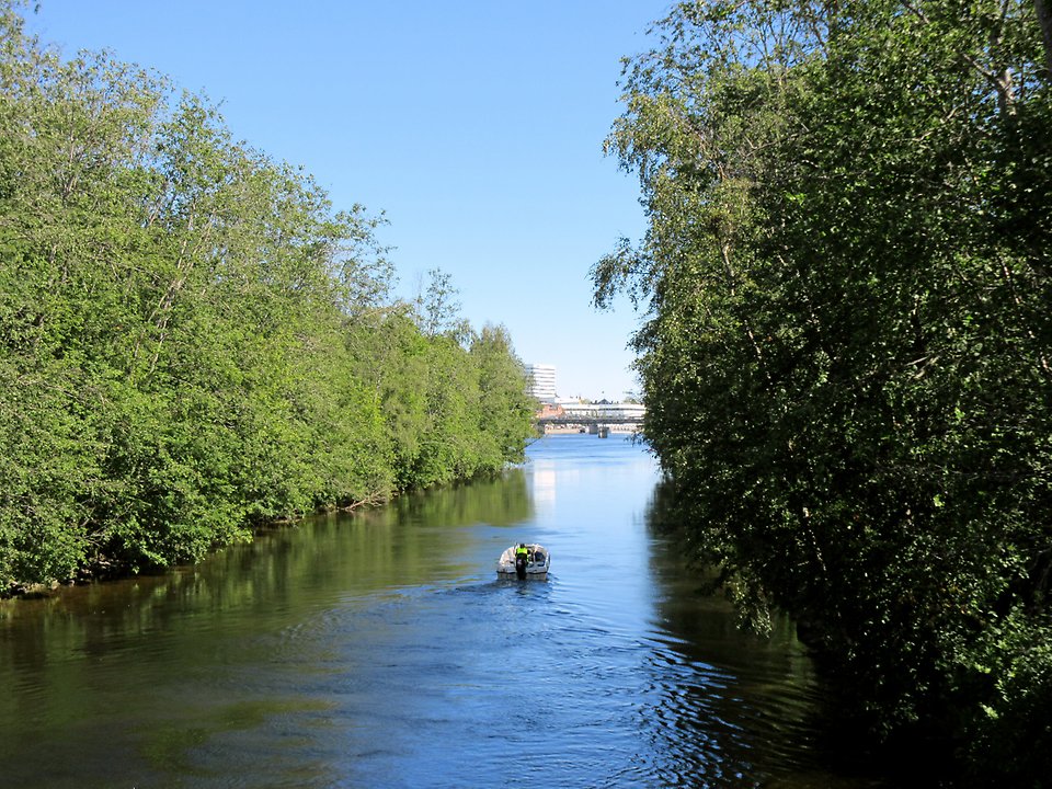 Umeälven vid Bölesholmarna 