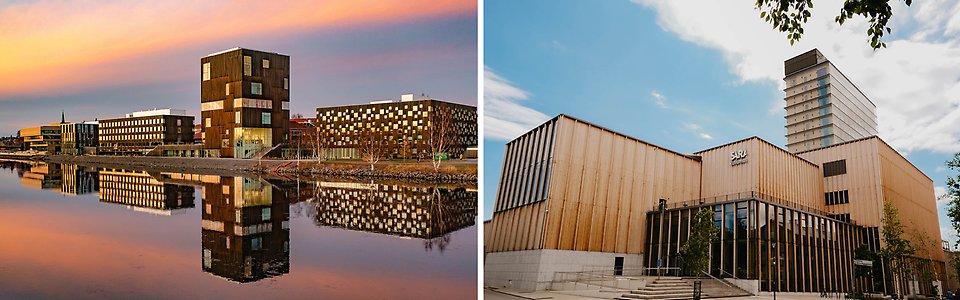 Bilden visar logotyper på på Umeå kommun, Byggnadsföretag och Företagarna