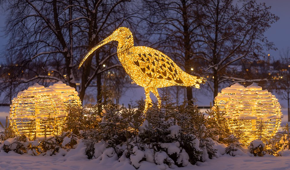 Ljusinstallation i form av en storspov, som står i Rådhusparken med älven som fond. Snö runtom och mörkt.