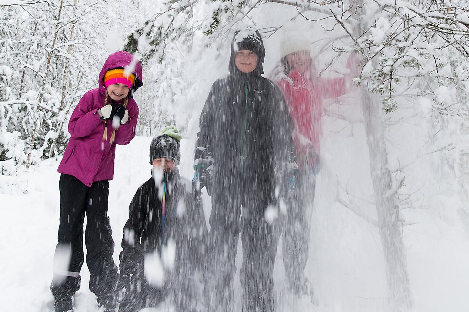 Fyra personer i olika åldrar står bredvid varandra utomhus i en snöig skog.