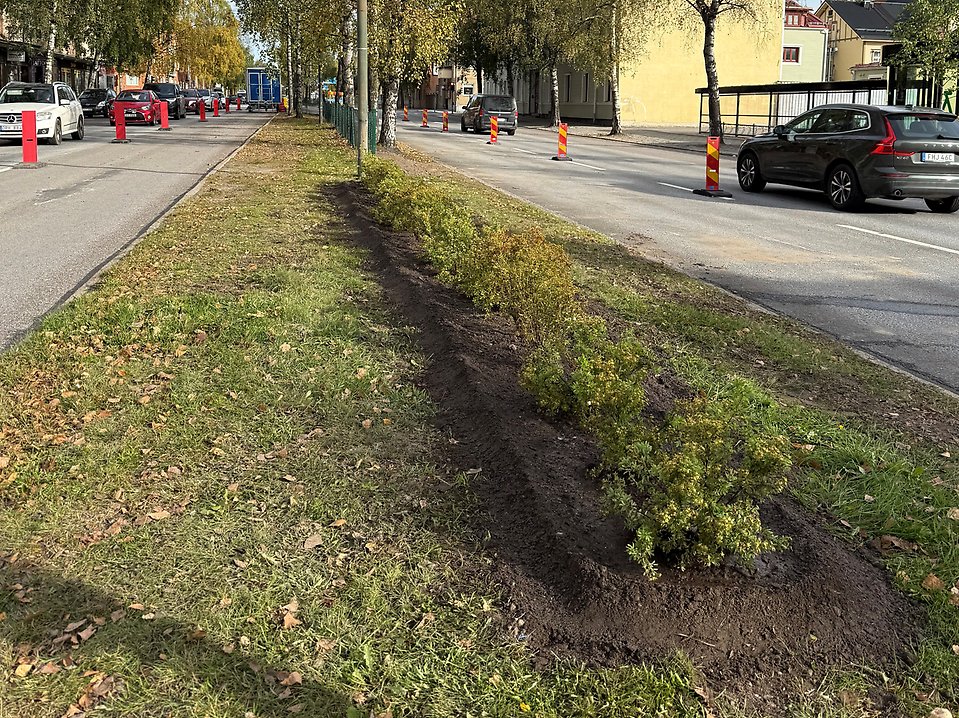 Västra Esplanaden